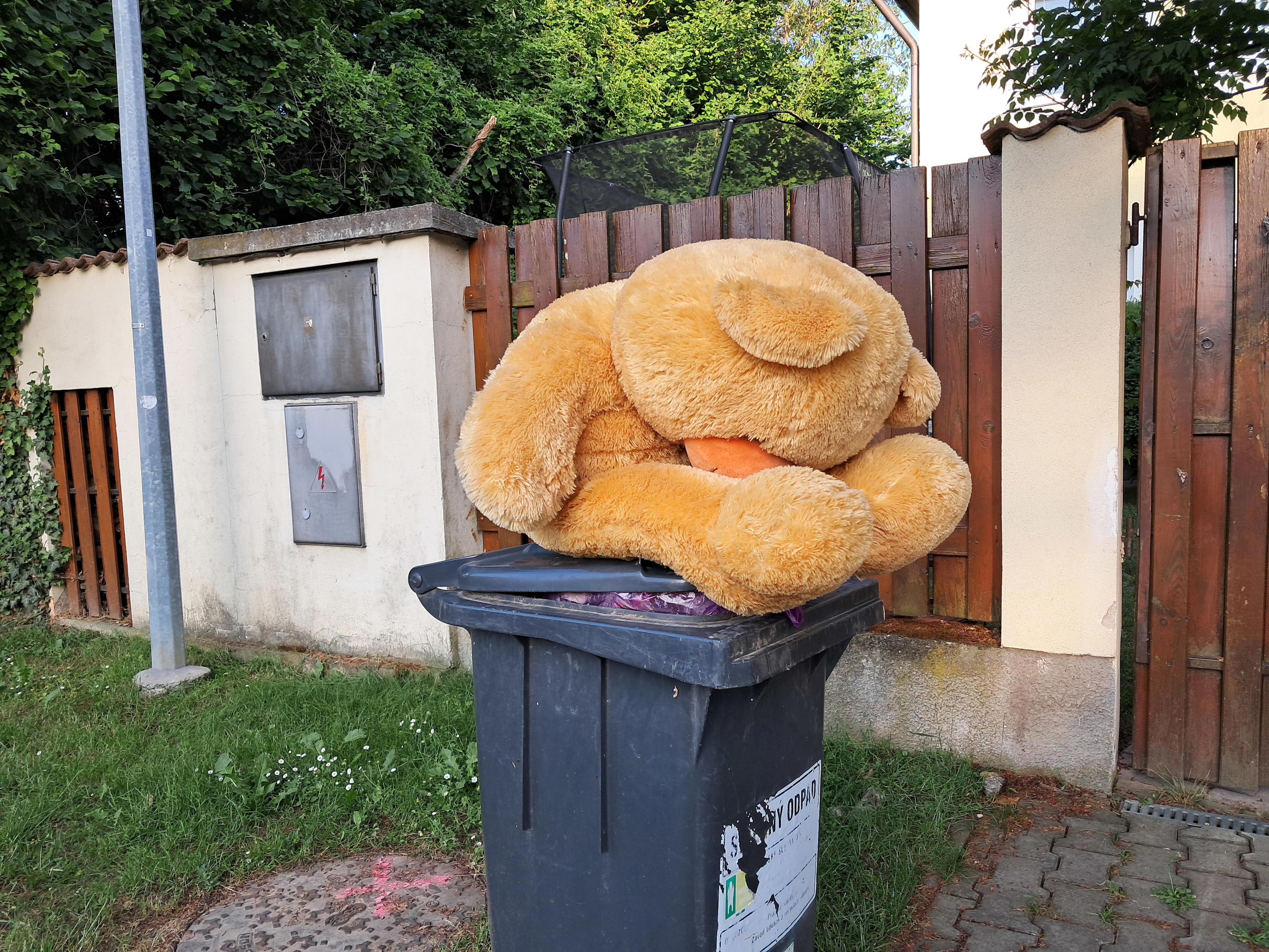 Plyšový medvíídek na popelnici
