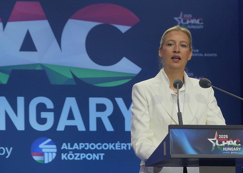 Šéfka AfD Alice Weidelová