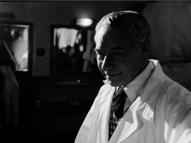 Ladislav Pešek