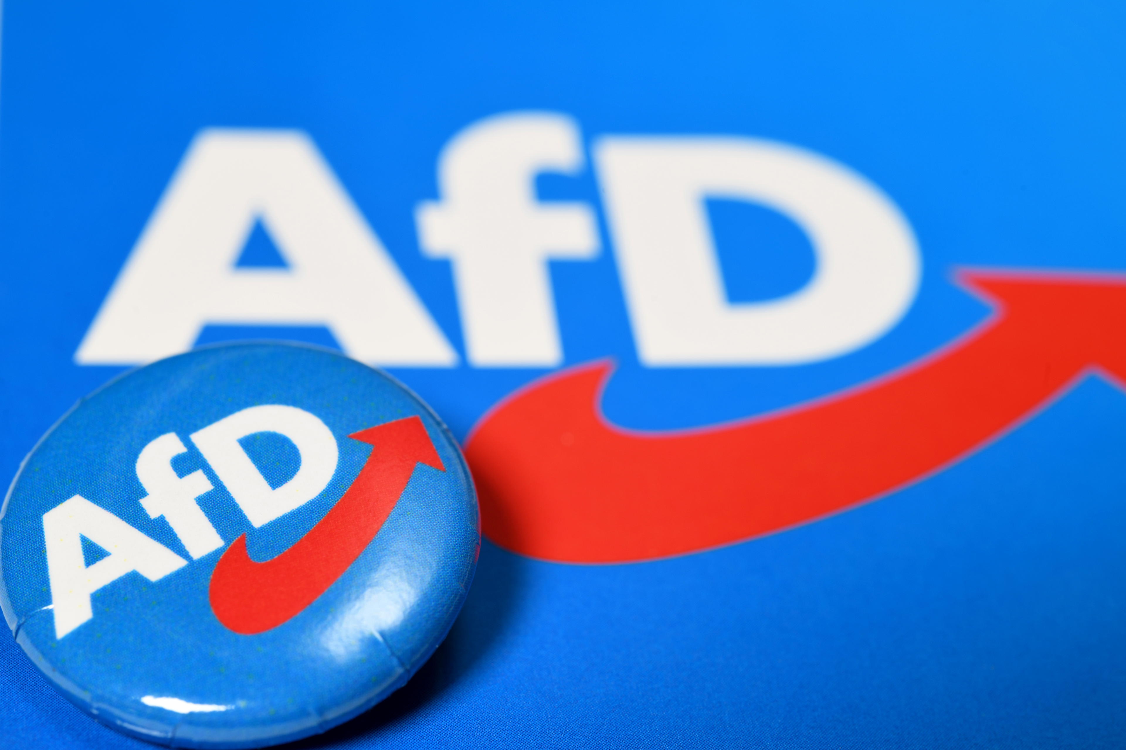 Alternativa pro Německo (AfD)