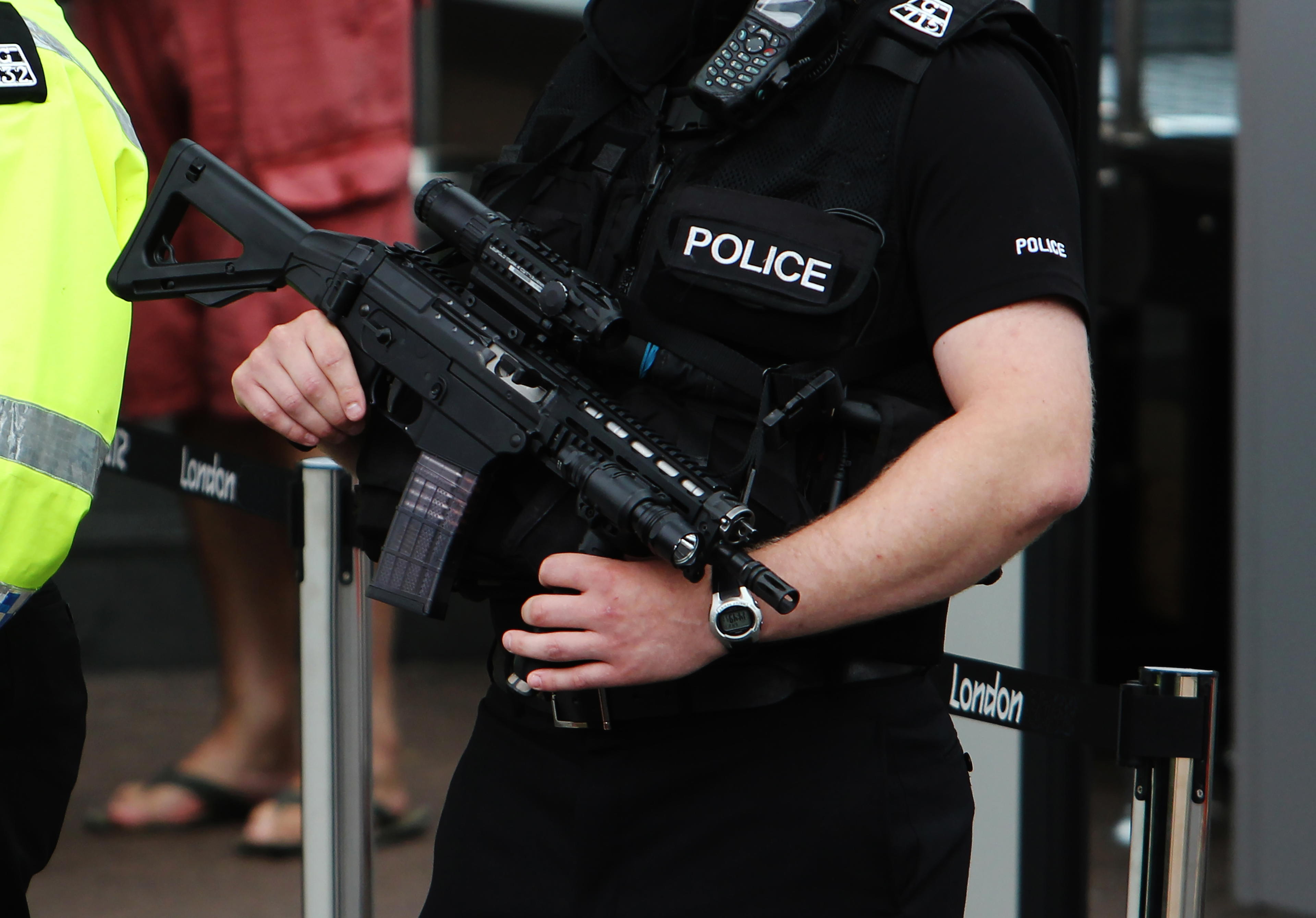 Britská policie